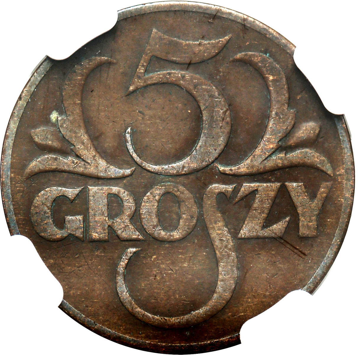 II RP. 5 groszy 1934 NGC VF30 - NAJRZADSZY ROCZNIK